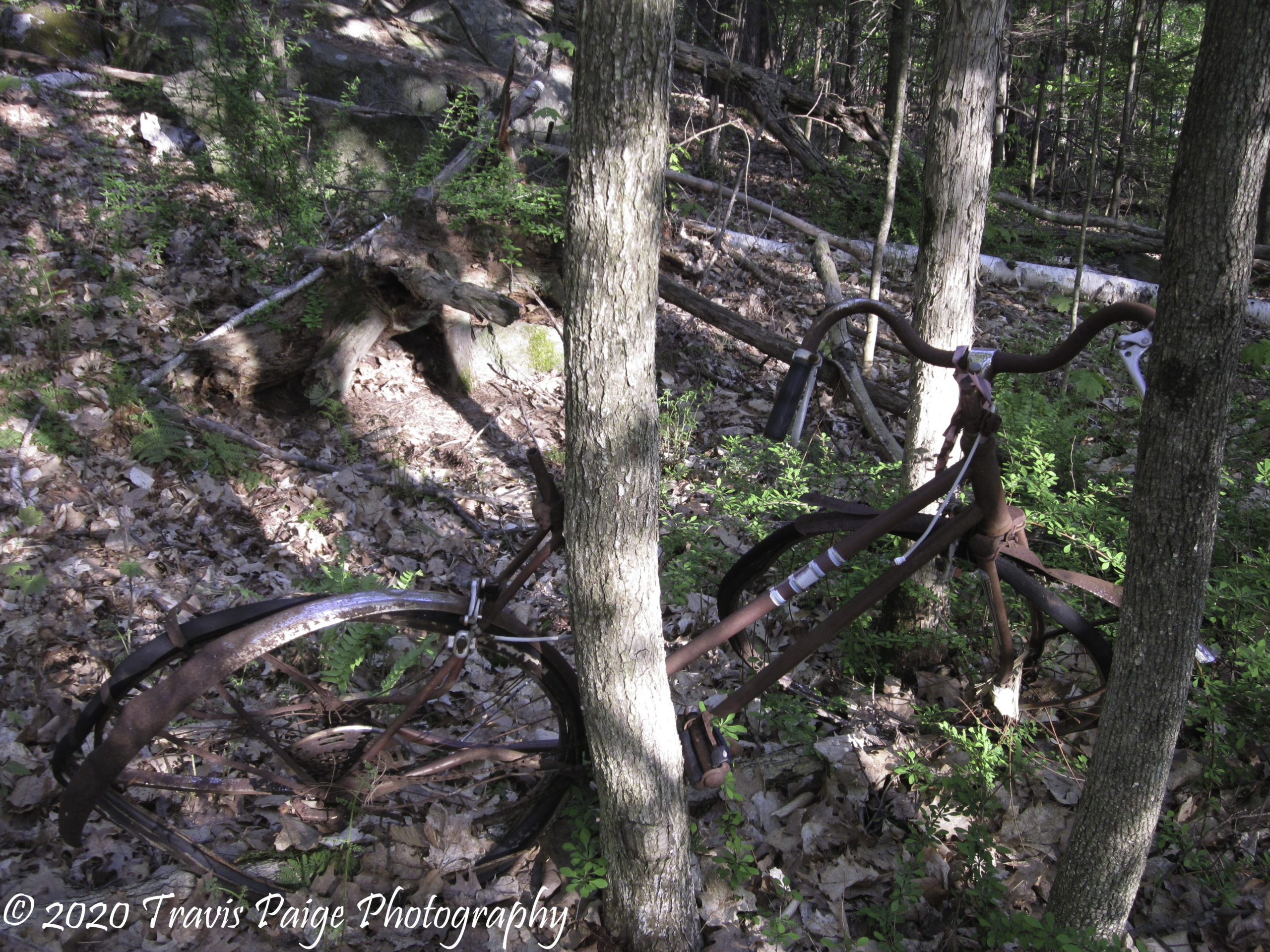 Upper Valley Mountain Biking APD Trails