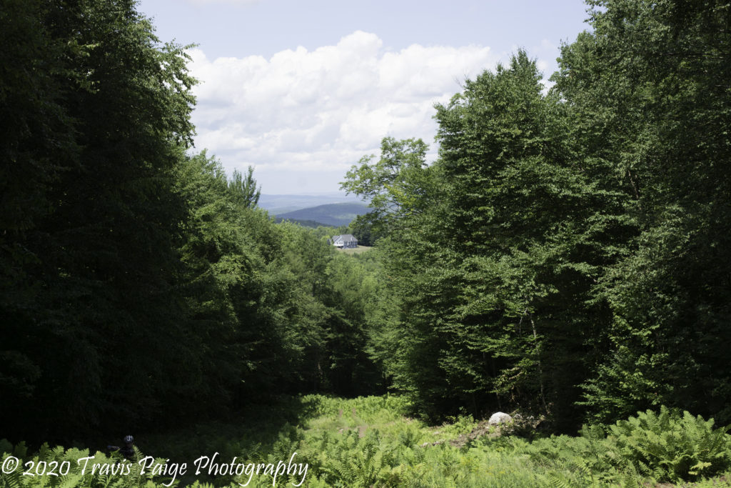 Upper Valley Mountain Biking Whaleback