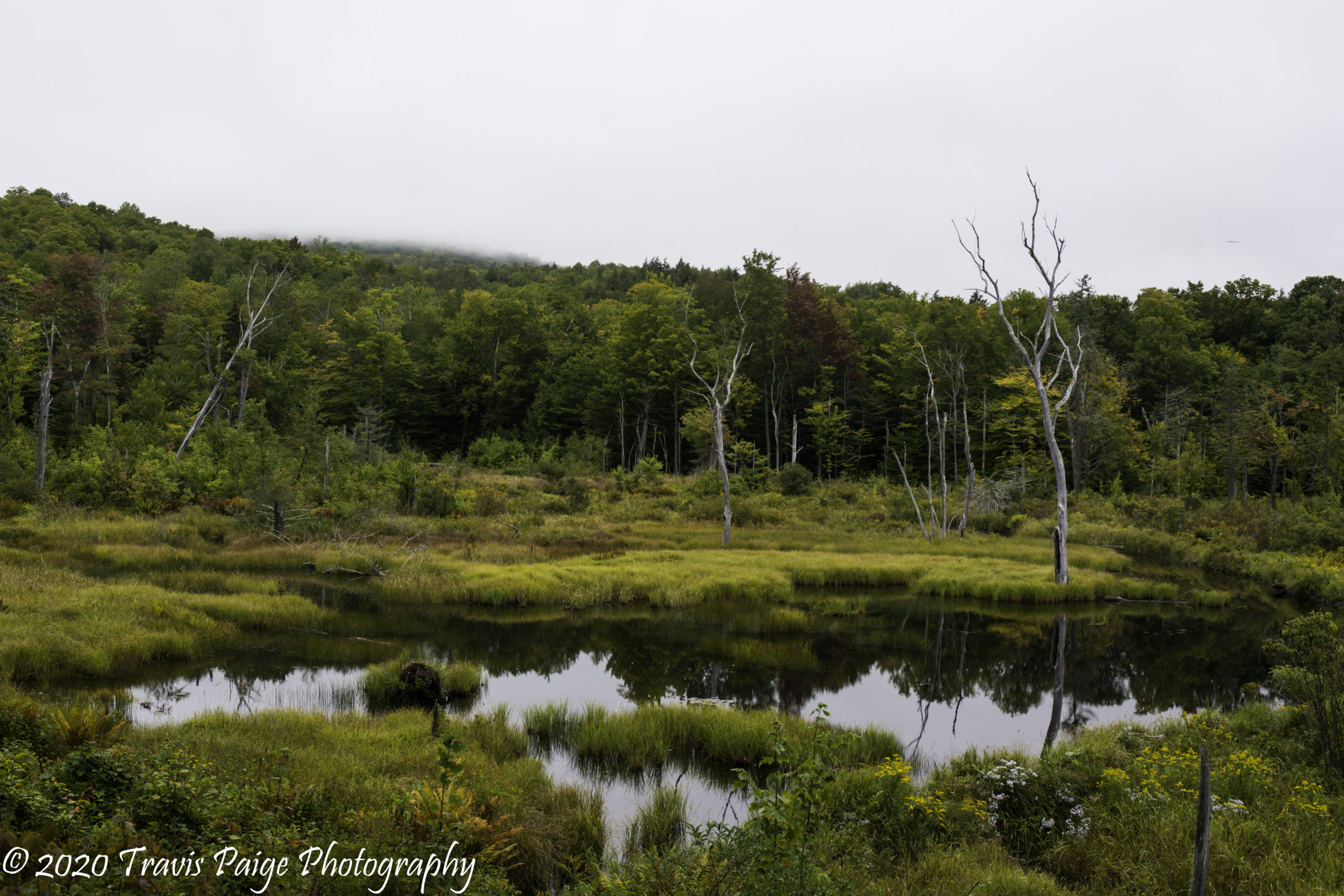 Upper Valley Mountain Biking Green Woodlands