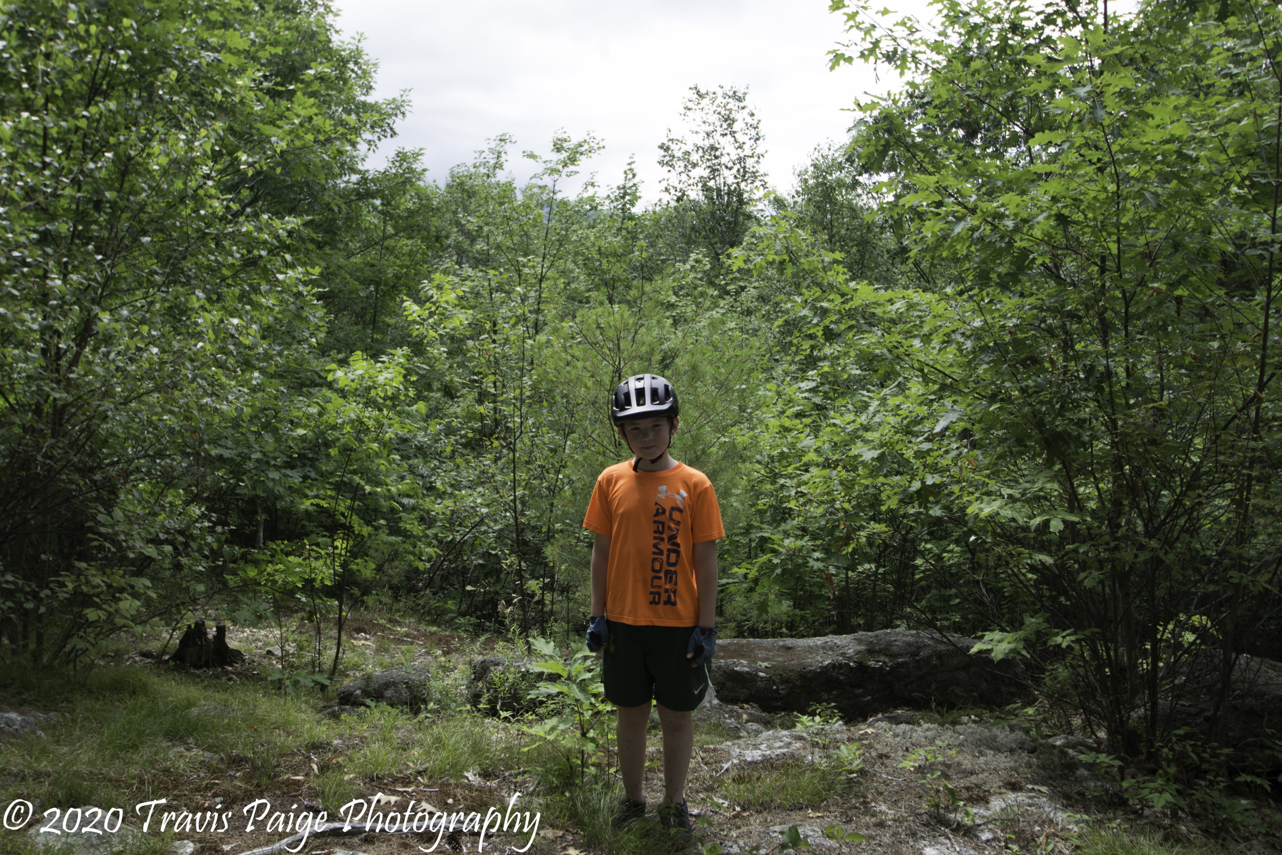 At the lookout-Webb Forest Preserve