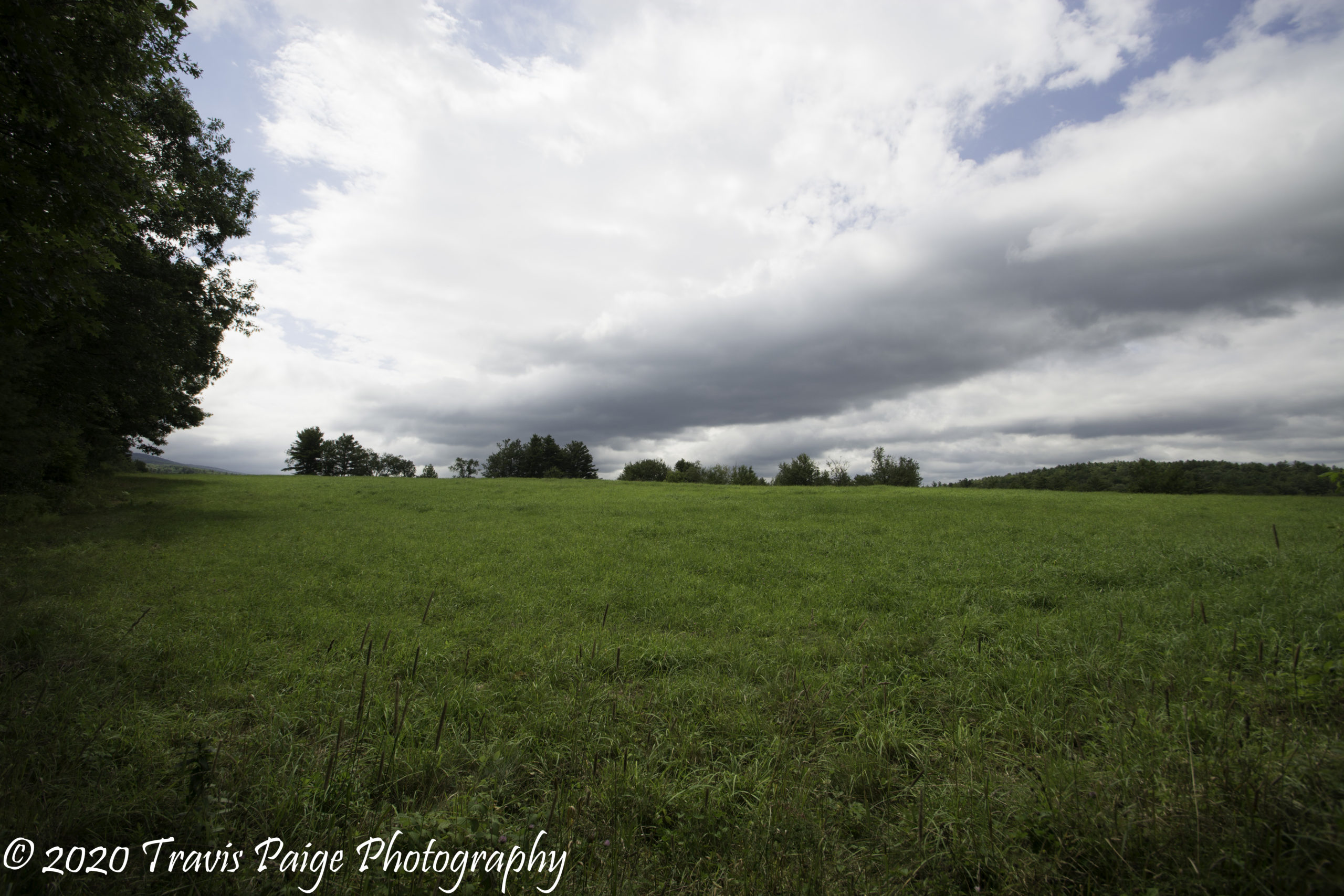 Field View-Webb Forest Preserve