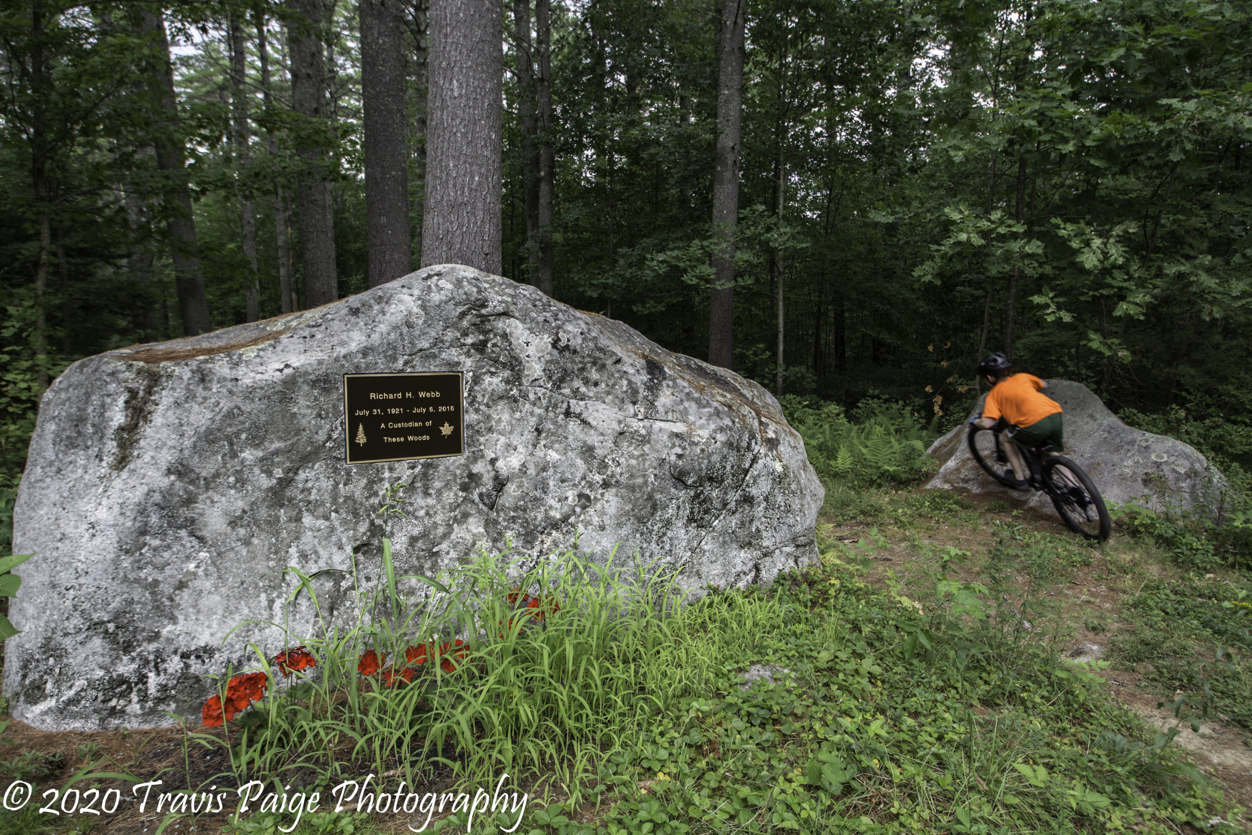 Upper Valley Mountain Biking Webb Forest Preserve